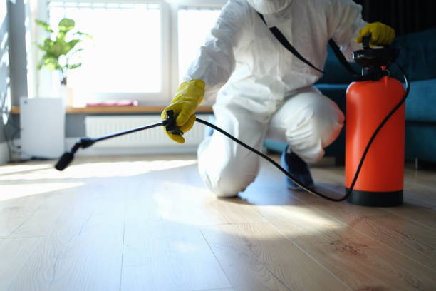 Reliable Hoarding Cleanup contractor in Jefferson, TX by Trauma Clean Pros